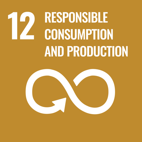 12. Responible consumption and production